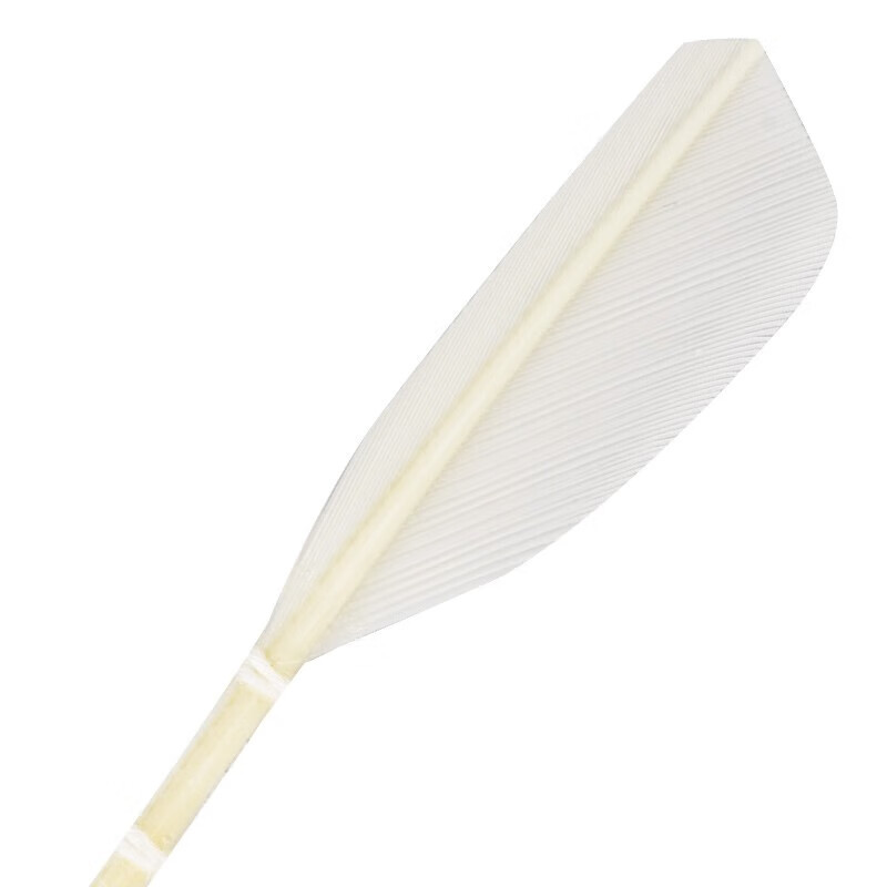 RSL Training And Competition Shuttlecock, Stable Flight And Durable, RSL No. 66,...