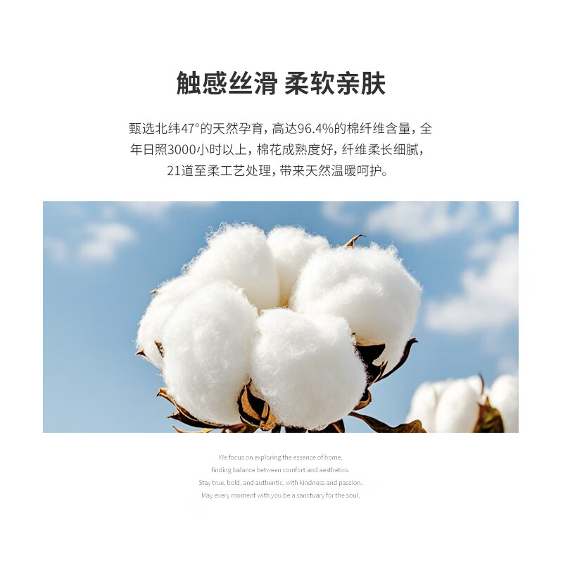 JIEBO Class A 60S Xinjiang Long-Staple Cotton 100% Pure Cotton Bed Sheet 245*270