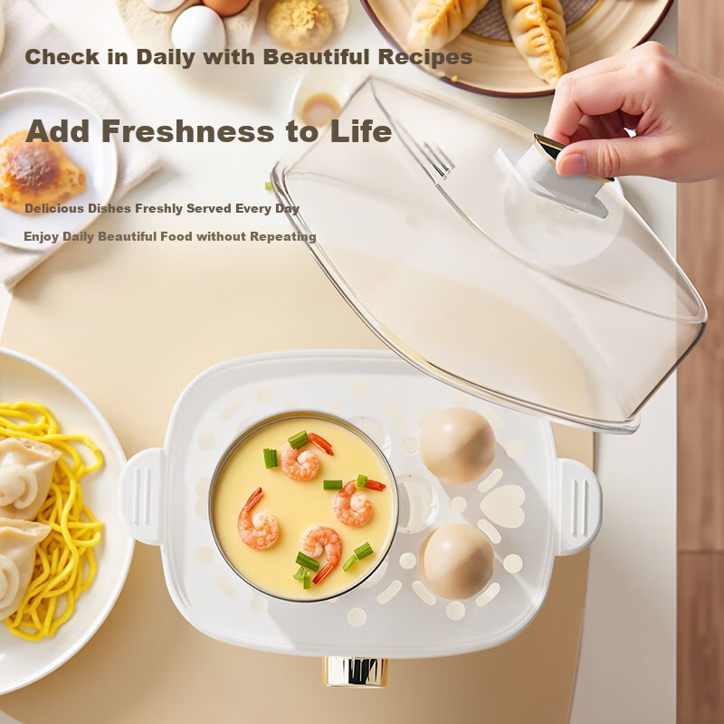 AUX Electric Egg Cooker Steamer Mini Electric Steamer Pot Multi-function Timer A...