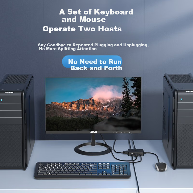 Llano KVM Switch, VGA Video Switcher, Two-In Desktop Laptop Monitor Mouse Keyboa...