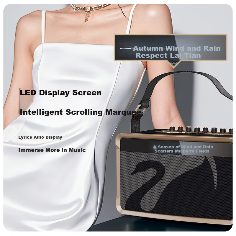 HiVi Portable Smart Speaker Outdoor High Quality Bluetooth Speaker with Micropho...