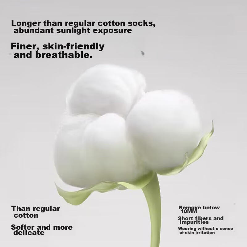 MiiOW Women's Socks, 2024 Spring And Autumn New Style, Pure Cotton Mid-Calf Sock...