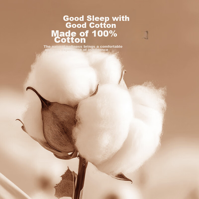 Montagut Pure Cotton Bed Sheet, Single Piece, Winter Thickened, Single Bed, Dorm...