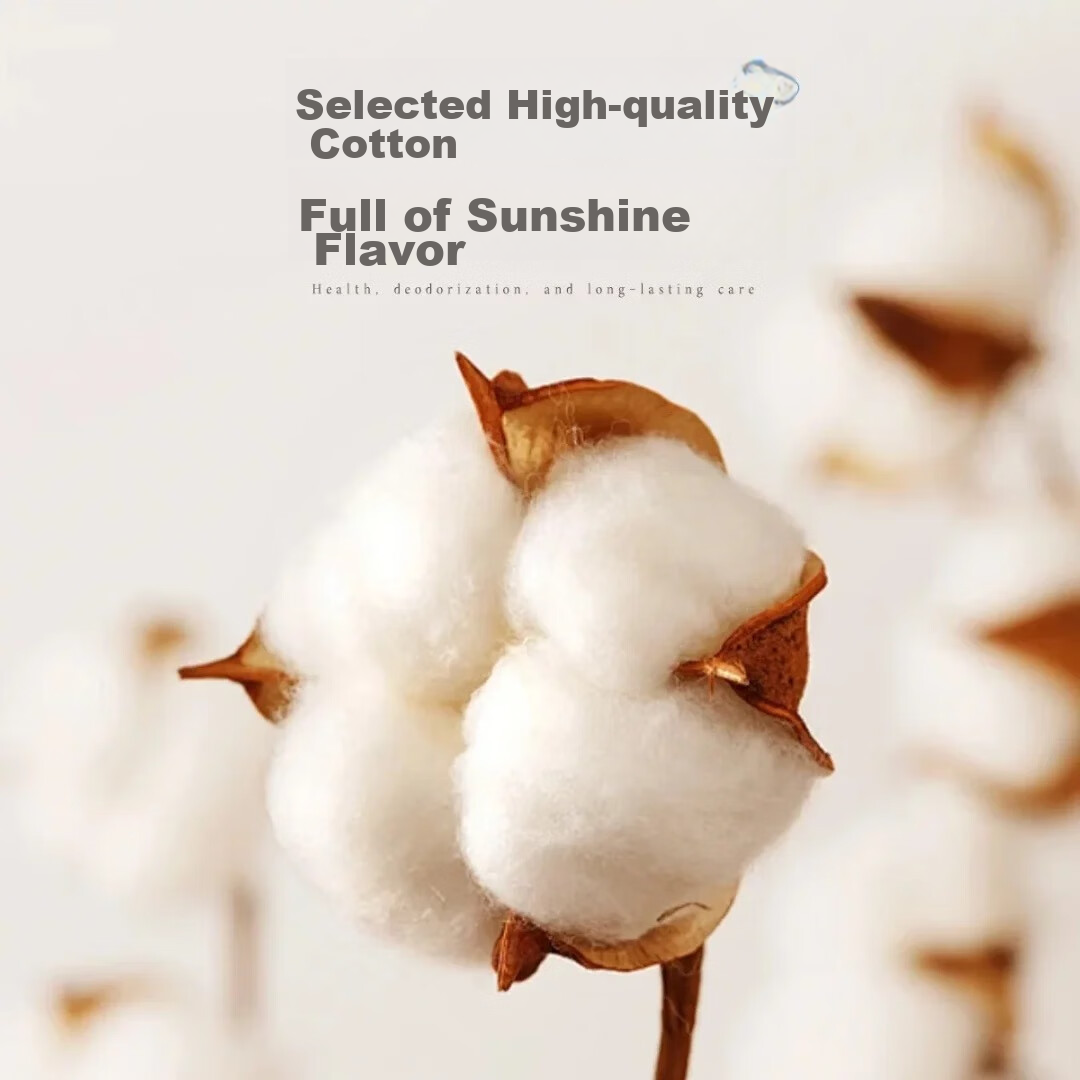 Langsha Women's Socks, Pure Cotton, Spring And Autumn, 7A Grade Antibacterial An...