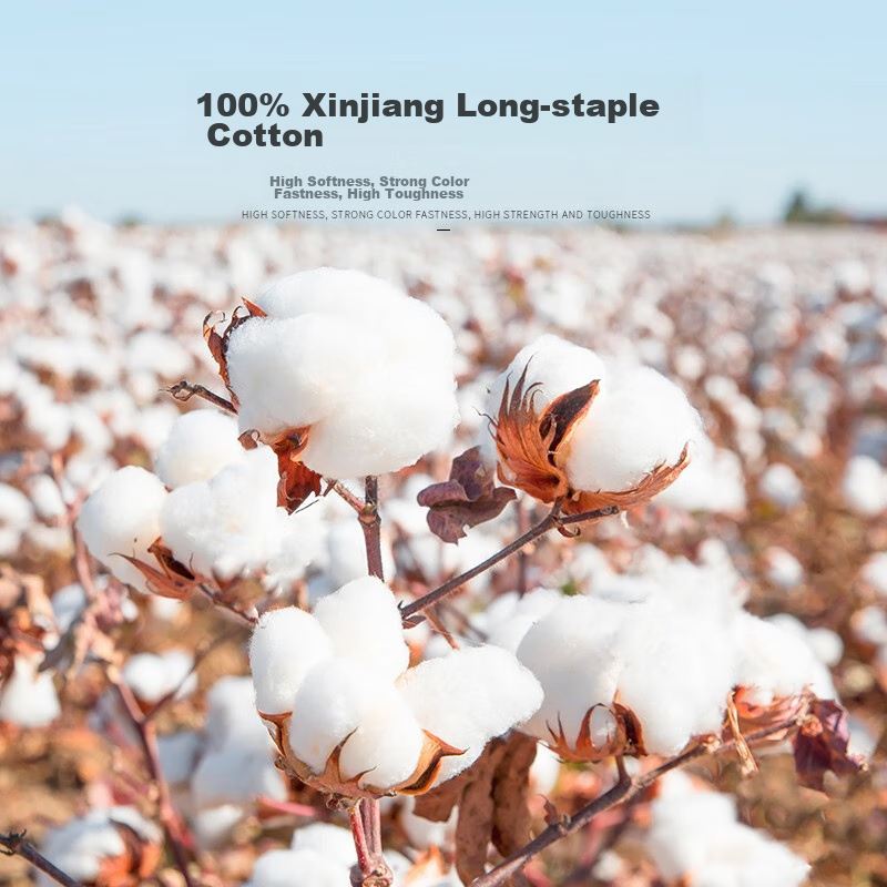 Langsha Men's Socks, Spring And Summer, Pure Cotton, Antibacterial, Odor-Resista...