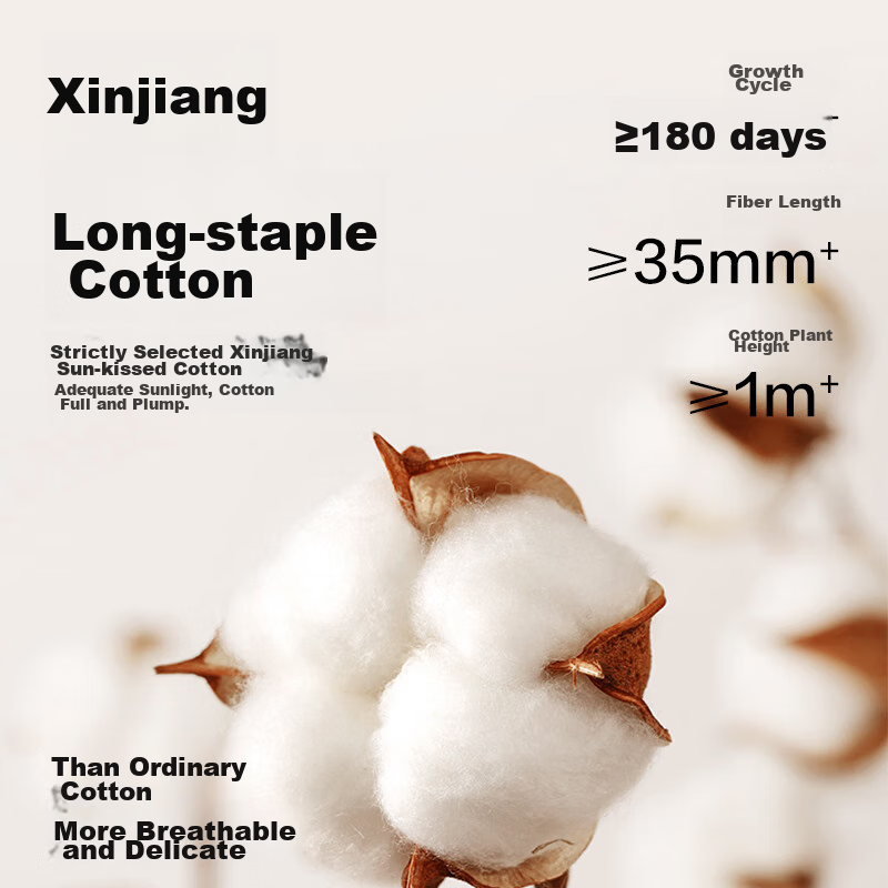 Jingshucotton JD's Own Brand 7A Grade Antibacterial Mid-Calf Women's Socks, Casu...