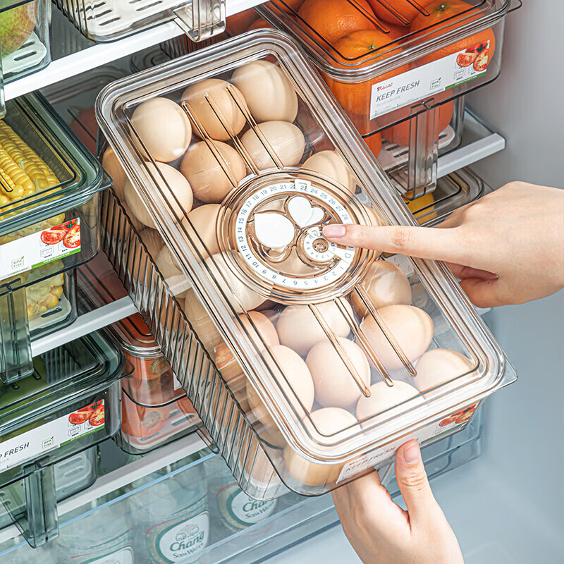 KATEI STORY Japanese Refrigerator Storage Box, Large Capacity, Food-Grade, Speci...