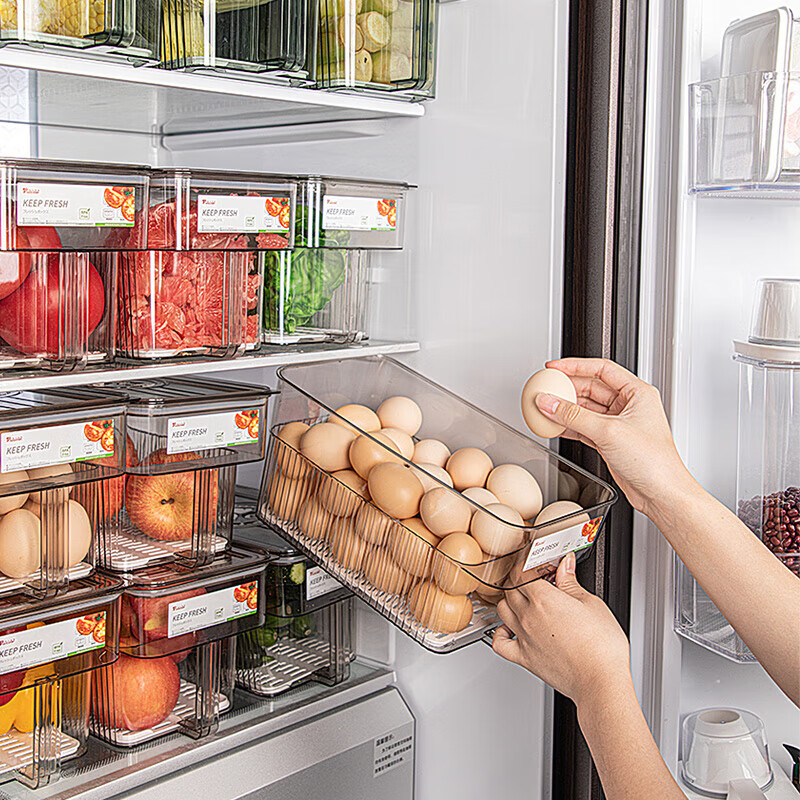 KATEI STORY Japanese Refrigerator Storage Box, Large Capacity, Food-Grade, Speci...