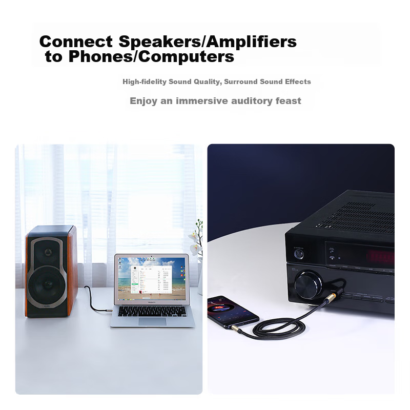 Lulian 3.5mm to 6.5mm Male to Male Audio Cable, Phone Laptop Speaker Connection...