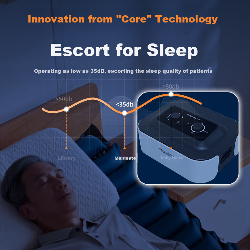 Maidesiite Anti-Bedsore Air Mattress, Medical Bed for Bedridden Elderly, Home Us...