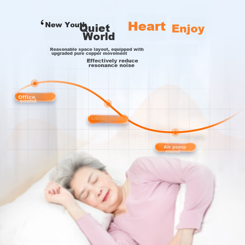 Maidesiite Anti-Bedsore Air Mattress, Medical And Home Use, Inflatable Bed for E...