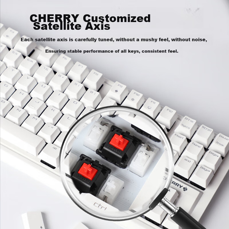 CHERRY MX1.1 Mechanical Keyboard, G80-3910 Gaming Keyboard, Floating Non-Steel S...