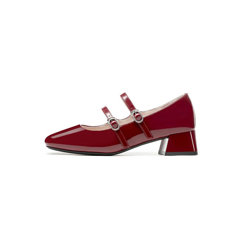 RED DRAGONFLY Mary Jane Shoes 2024 Autumn Women's Shoes Retro Red Single Shoes Elegant High Heels Burgundy 38