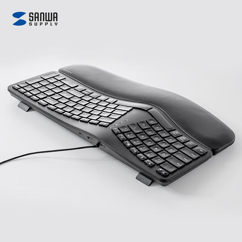 SANWA SUPPLYERG5 101-Key Wired Keyboard, Ergonomic Membrane Keyboard, 3 USB Ports, Soft Cushion Wrist Rest, Includes Type-C Conversion Cable