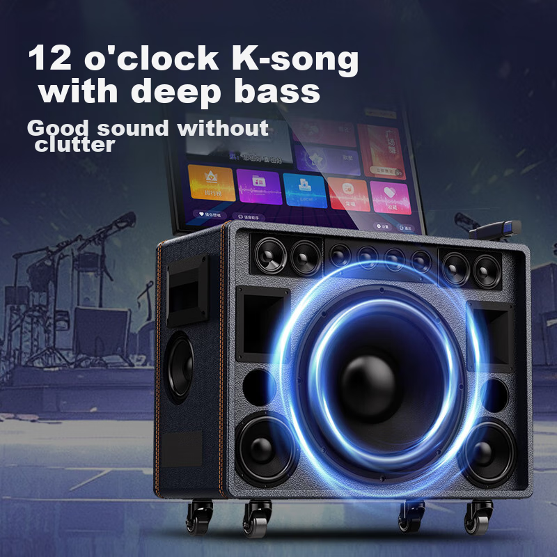 Sansui Outdoor Karaoke Speaker System, Home KTV Package Complete Singing Equipment, All-In Karaoke Machine, Portable Smart Square Dance Electric Guitar Musical Instrument Speaker Q1291T