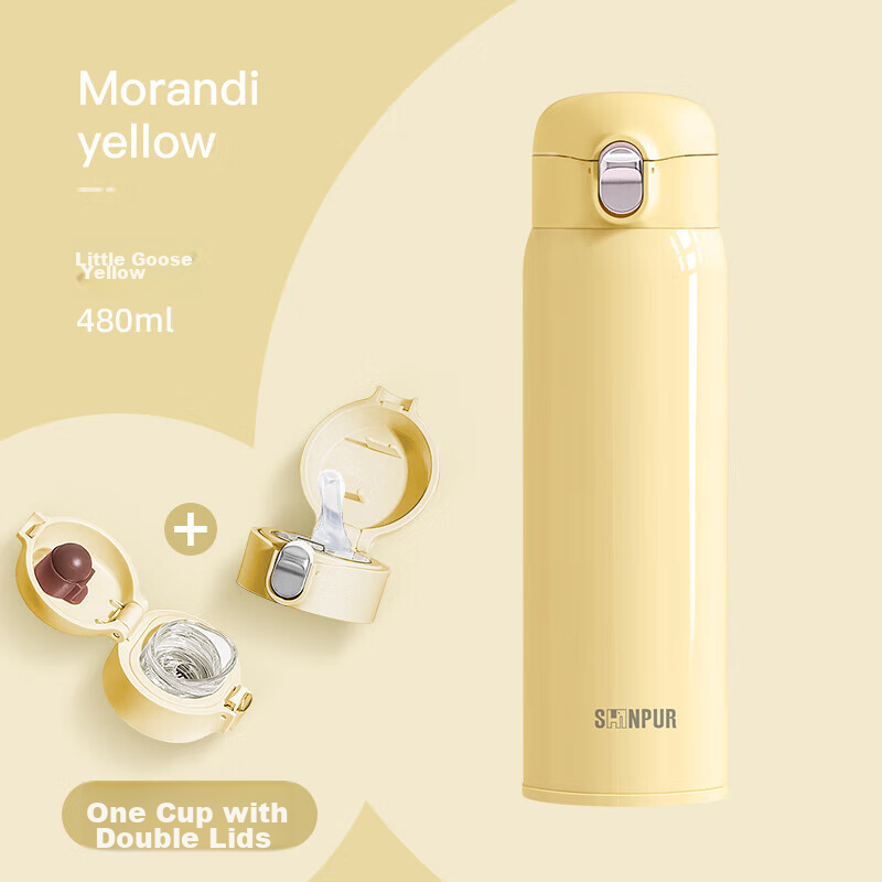 SHINPUR Insulated Tumbler with Straw for Women, Adults, Students, Hot And Cold Water Bottle, Tea Cup for Men And Women, Double Lid, New Model