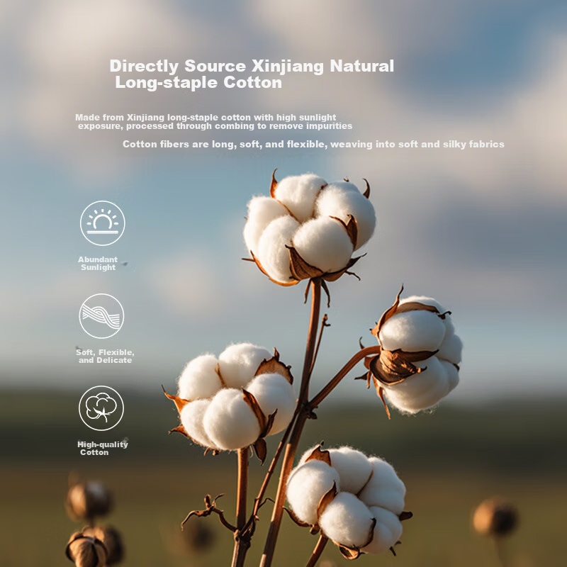 Ziiu Zhangyu A-Class Long-staple Cotton Four-piece Set 100S Full Cotton Tribute Satin Bed Sheet Quilt Cover Four-piece Set 1.5m Bed